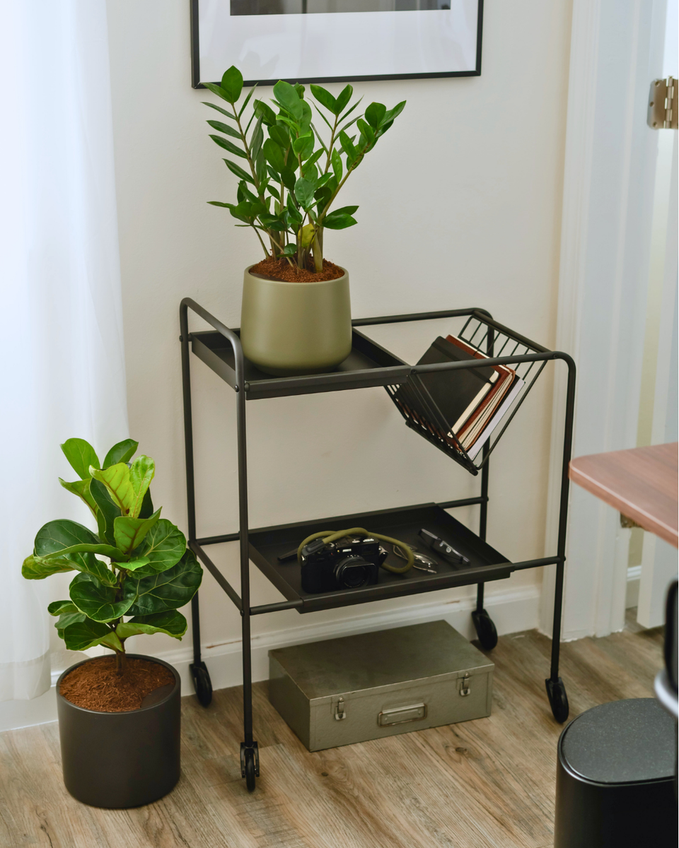 LILALINE Trolley-Charcoal – MIRAGE SF